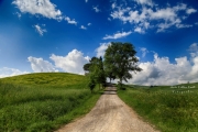img_0145_03-copy