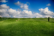 img_0182_03-copy