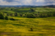 img_0613_02-copy